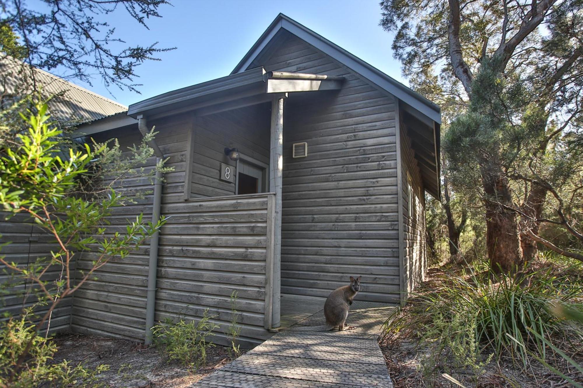 Freycinet Lodge Coles Bay Buitenkant foto